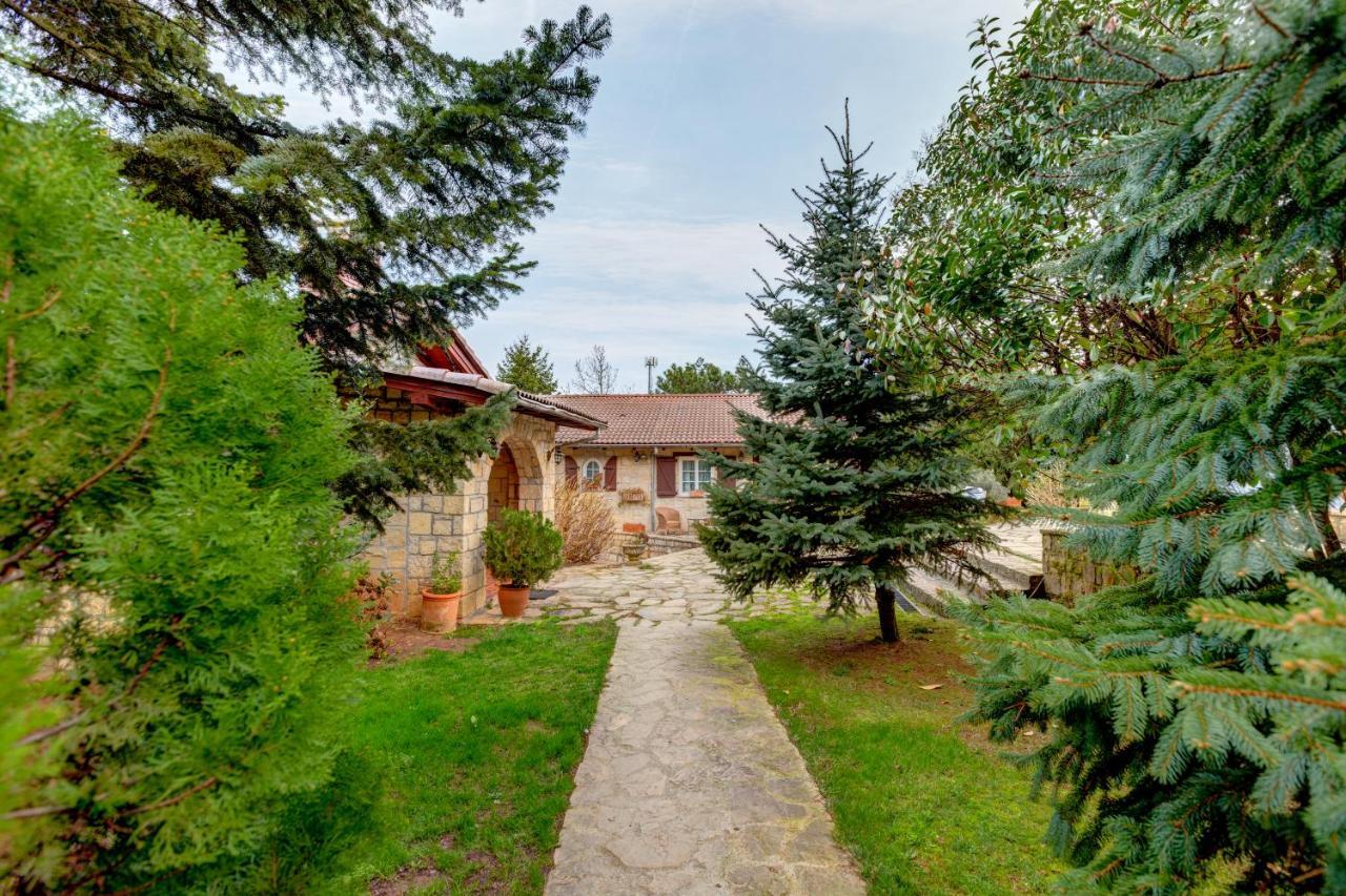 Casa Lavanda Boutique Hotel Ağva Екстериор снимка
